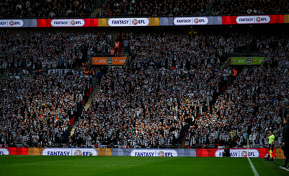 Matchday Fans -5411