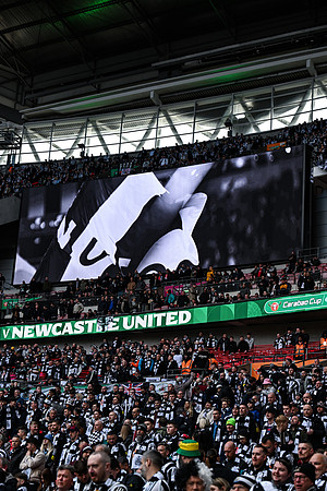 Matchday Fans -4551