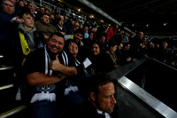 Newcastle United FC v Paris Saint-Germain: Group F - UEFA Champi
