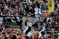 Newcastle United v Nottingham Forest - Premier League