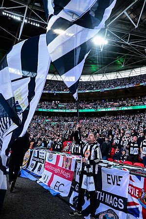 Matchday Fans -6305