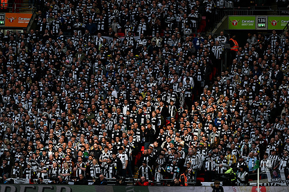 Matchday Fans -7553